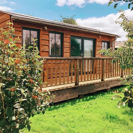 迪德马顿 The Holford Arms Chalets And Glamping酒店 外观 照片