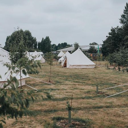 迪德马顿 The Holford Arms Chalets And Glamping酒店 外观 照片