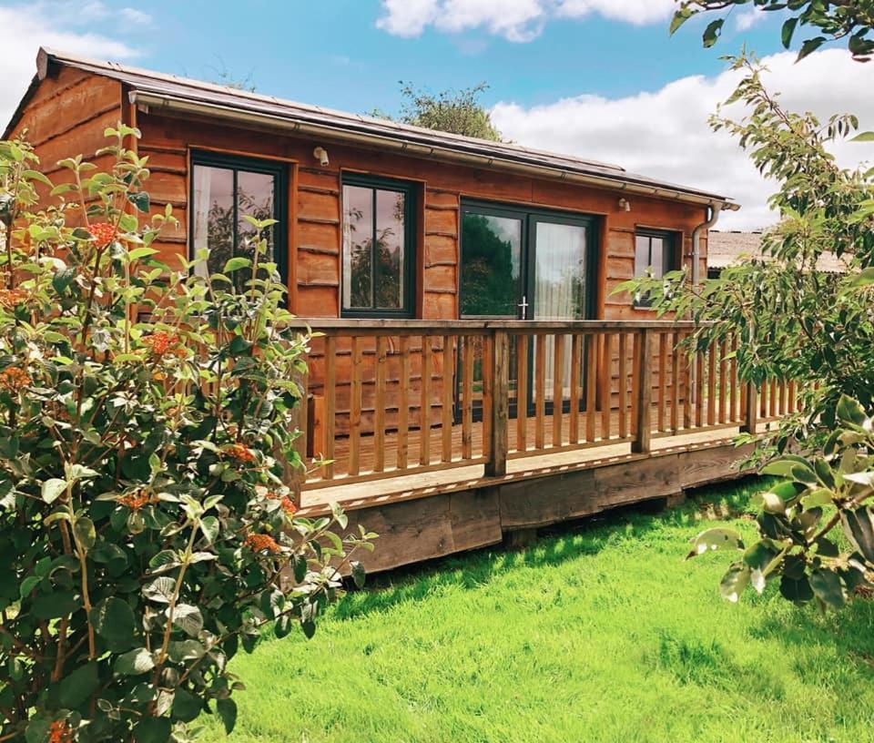 迪德马顿 The Holford Arms Chalets And Glamping酒店 外观 照片