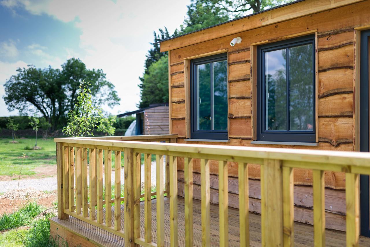 迪德马顿 The Holford Arms Chalets And Glamping酒店 外观 照片