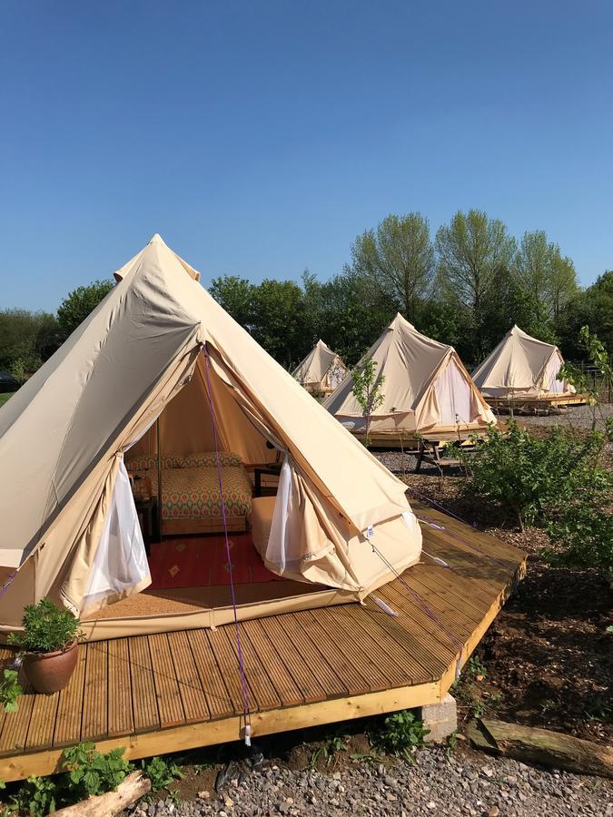 迪德马顿 The Holford Arms Chalets And Glamping酒店 外观 照片